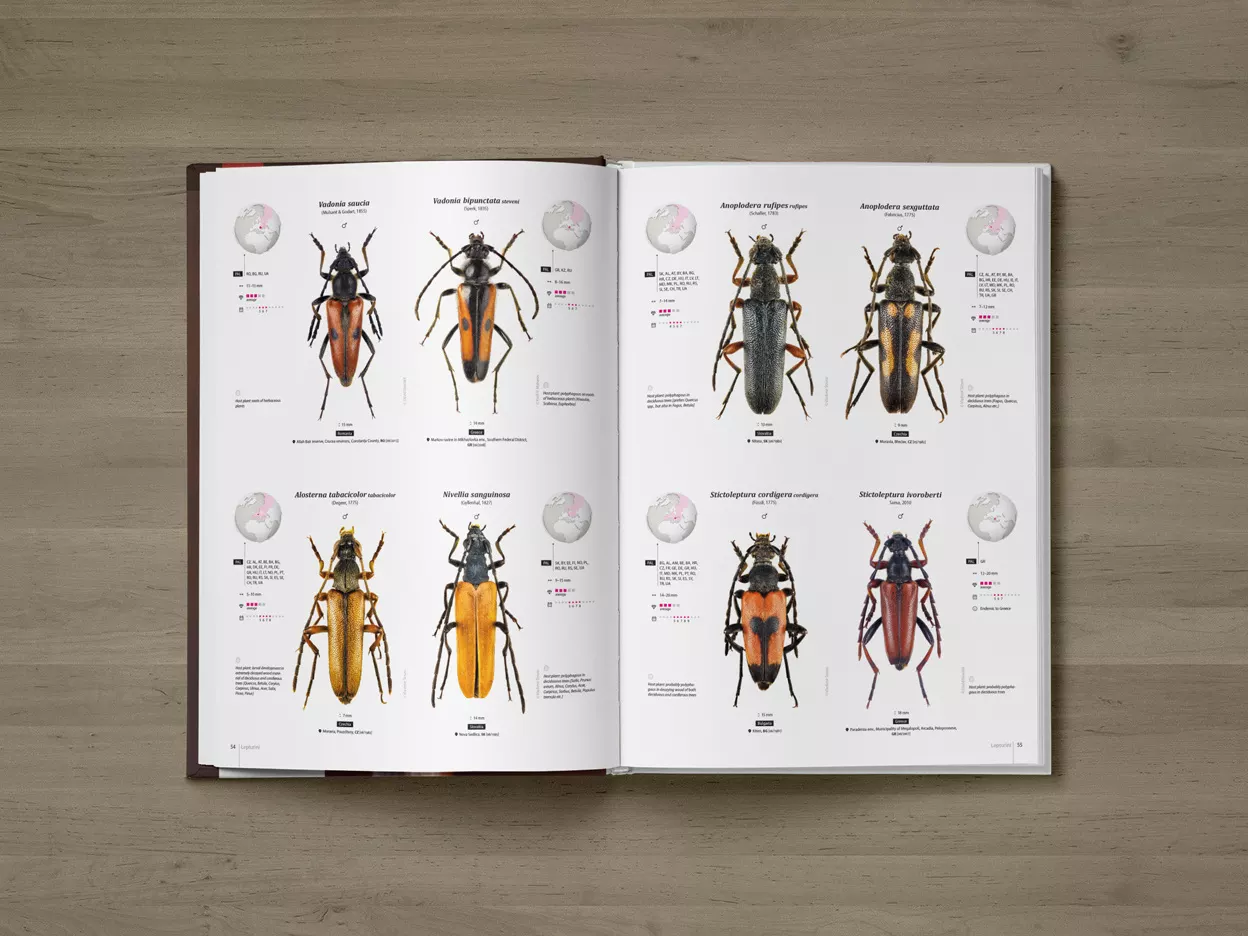 Cerambycidae of the Palearctic region, Volume I - Illustrated Guide to the Longhorn Beetles