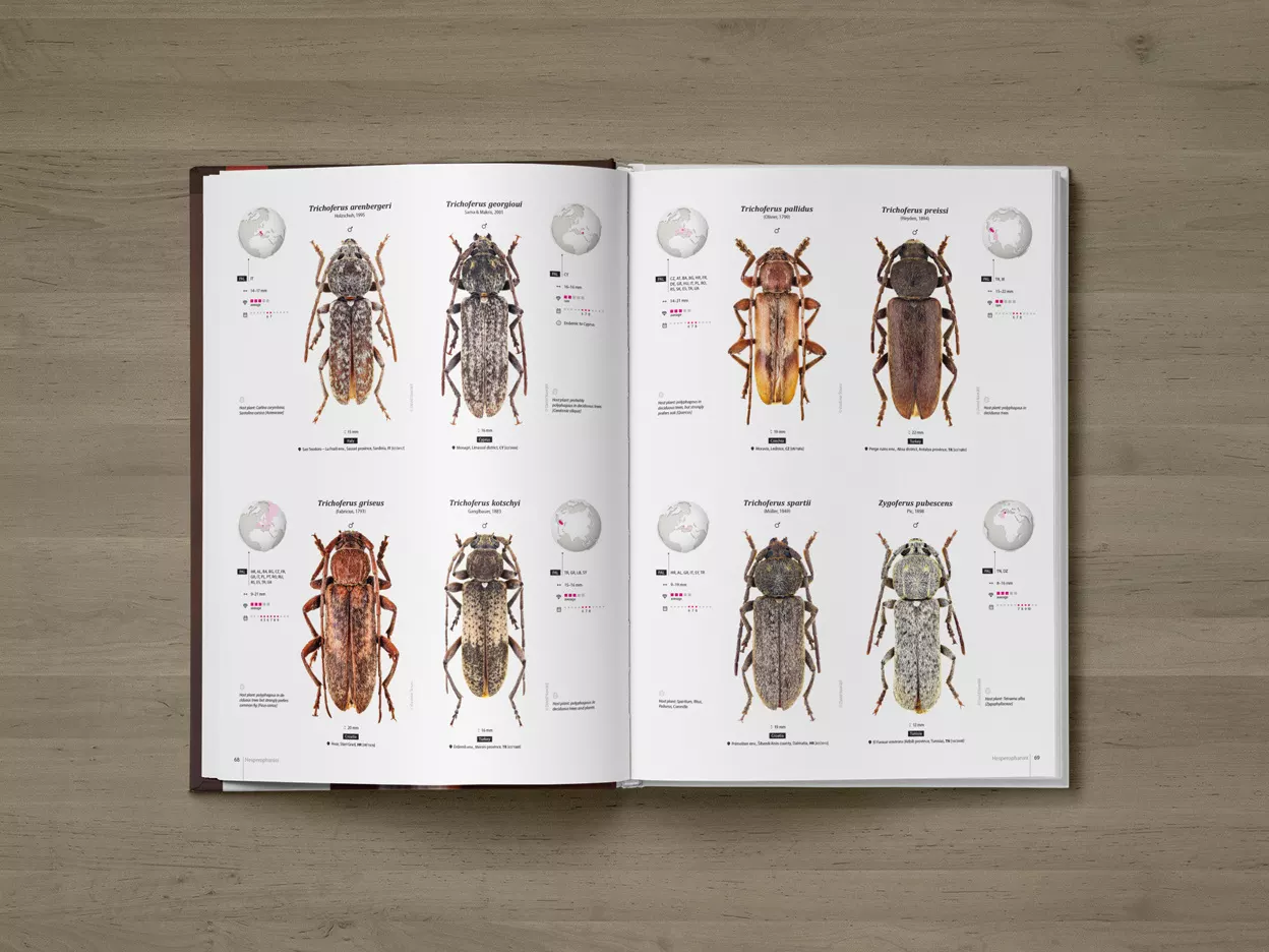 Cerambycidae of the Palearctic region, Volume I - Illustrated Guide to the Longhorn Beetles
