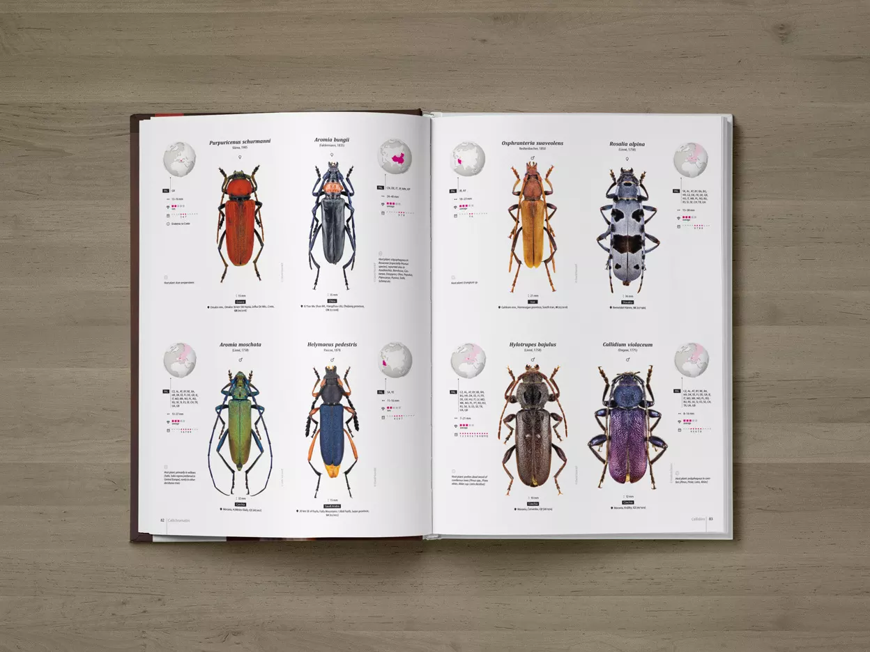 Cerambycidae of the Palearctic region, Volume I - Illustrated Guide to the Longhorn Beetles