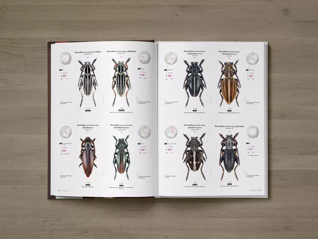 Cerambycidae of the Palearctic region, Volume I - Illustrated Guide to the Longhorn Beetles