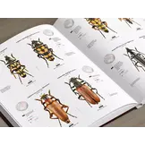 Cerambycidae of the Palearctic region, Volume I - Illustrated Guide to the Longhorn Beetles