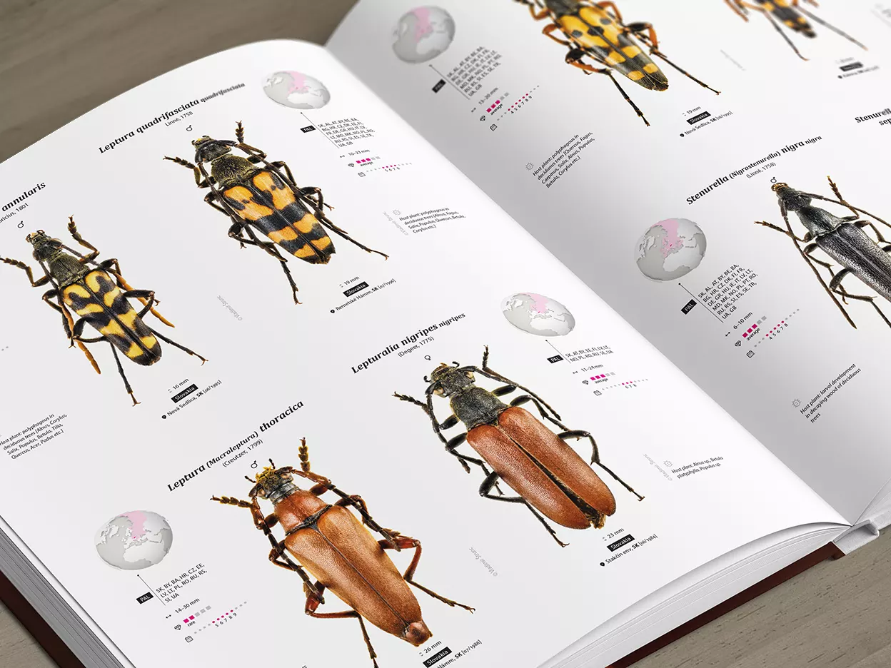 Cerambycidae of the Palearctic region, Volume I - Illustrated Guide to the Longhorn Beetles