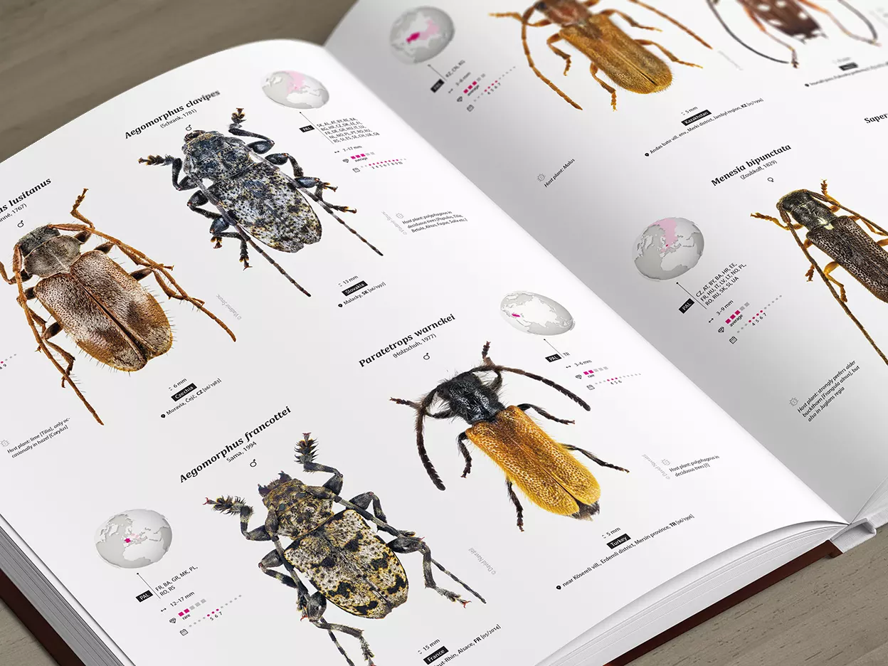 Cerambycidae of the Palearctic region, Volume I - Illustrated Guide to the Longhorn Beetles