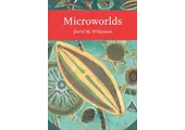 Microworlds