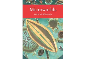 Microworlds