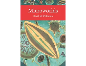 Microworlds