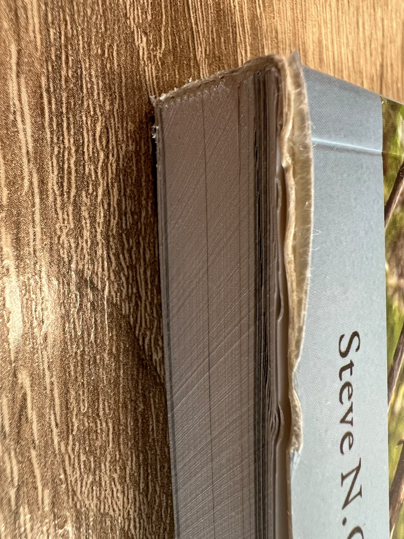 Damaged copy – Birds of Chile - A Photo Guide