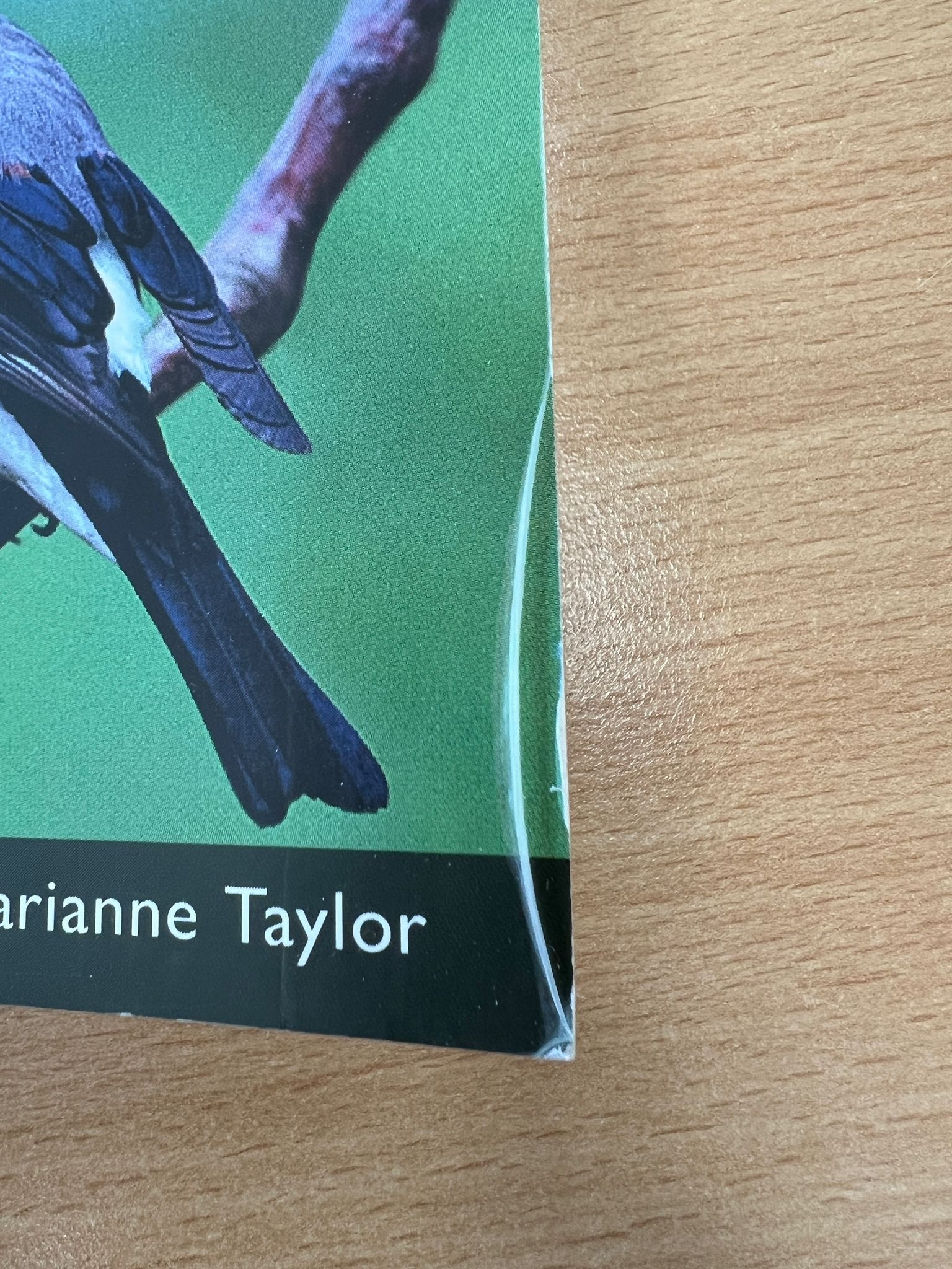 Beschädigte Kopie – A Naturalist's Guide to Garden Birds of Britain and Ireland