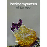 Pezizomycetes of Europe, Volume 1