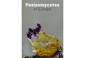 Pezizomycetes of Europe, Volume 1
