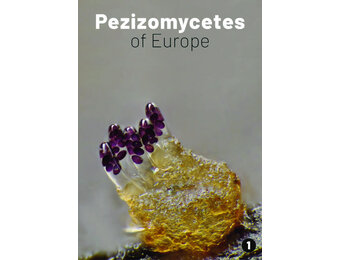 Pezizomycetes of Europe, Volume 1