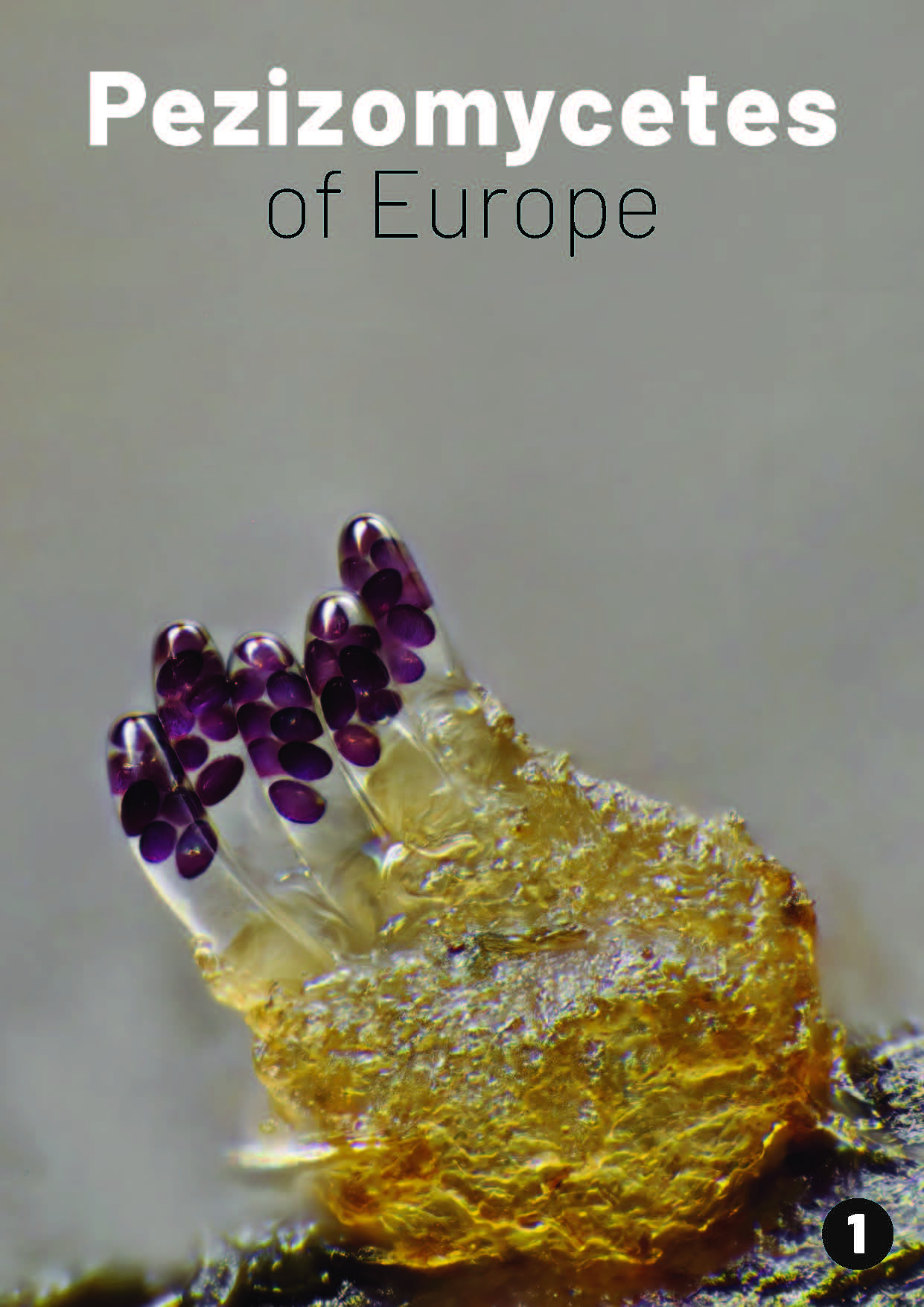 Pezizomycetes of Europe, Volume 1