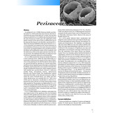 Pezizomycetes of Europe, Volume 1