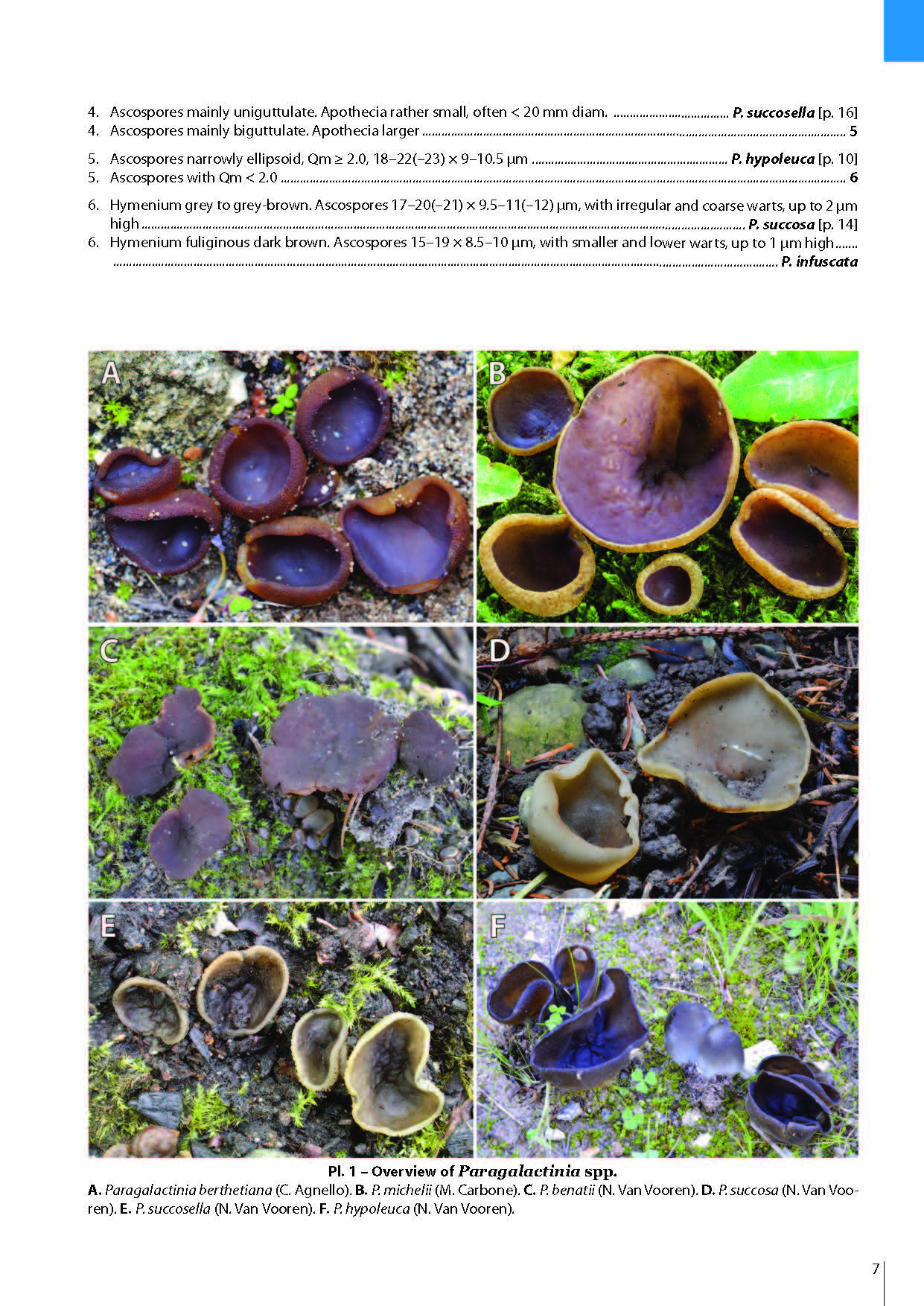 Pezizomycetes of Europe, Volume 1