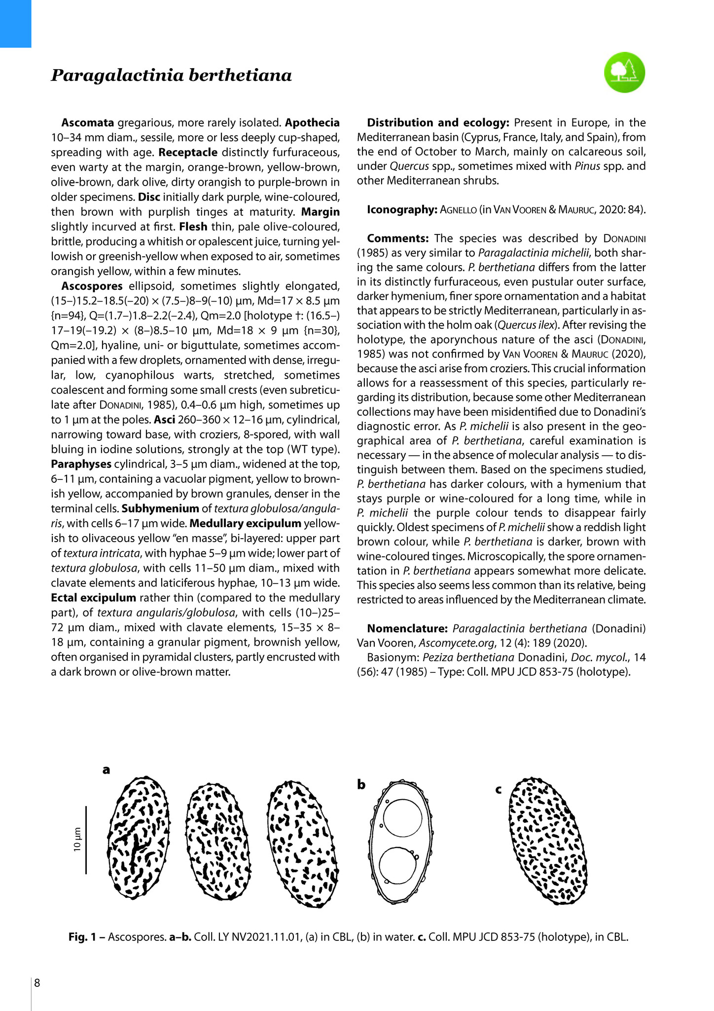 Pezizomycetes of Europe, Volume 1