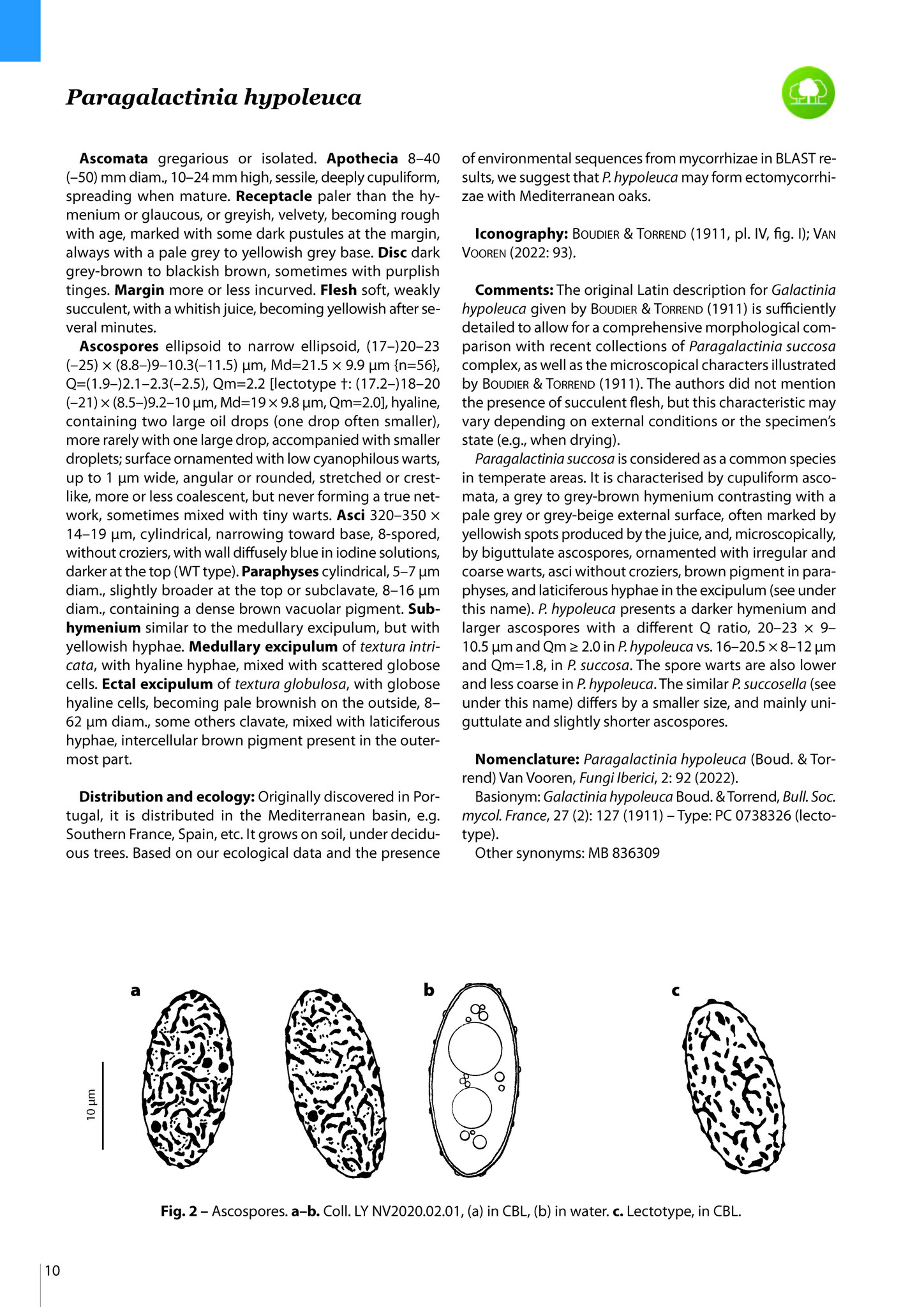 Pezizomycetes of Europe, Volume 1