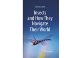 Insects and How They Navigate Their World
