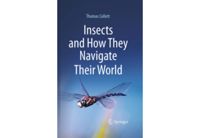 Insects and How They Navigate Their World