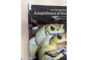 Beschädigte Kopie – An Introduction to the Amphibians of Ecuador
