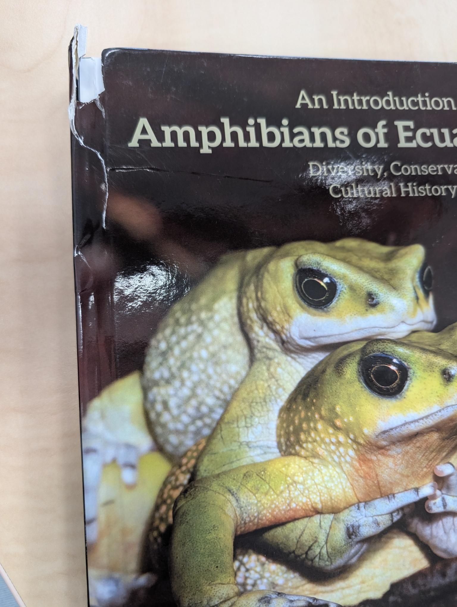Beschadigd exemplaar – An Introduction to the Amphibians of Ecuador
