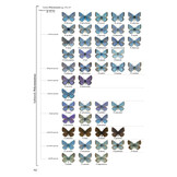 Butterflies of the Western Palaearctic - Volume 2 - Lycaenidae (Agrodiaetus), Riodinidae, Nymphalidae: Libytheinae, Danainae, Charaxinae, Apaturinae, Limenitidinae, Nymphalinae, Heliconiinae, Satyrinae