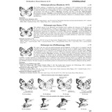Butterflies of the Western Palaearctic - Volume 2 - Lycaenidae (Agrodiaetus), Riodinidae, Nymphalidae: Libytheinae, Danainae, Charaxinae, Apaturinae, Limenitidinae, Nymphalinae, Heliconiinae, Satyrinae