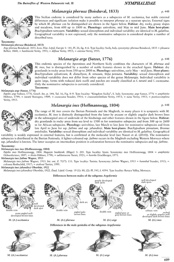 Butterflies of the Western Palaearctic - Volume 2 - Lycaenidae (Agrodiaetus), Riodinidae, Nymphalidae: Libytheinae, Danainae, Charaxinae, Apaturinae, Limenitidinae, Nymphalinae, Heliconiinae, Satyrinae