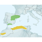 Butterflies of the Western Palaearctic - Volume 2 - Lycaenidae (Agrodiaetus), Riodinidae, Nymphalidae: Libytheinae, Danainae, Charaxinae, Apaturinae, Limenitidinae, Nymphalinae, Heliconiinae, Satyrinae