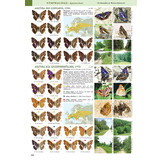 Butterflies of the Western Palaearctic - Volume 2 - Lycaenidae (Agrodiaetus), Riodinidae, Nymphalidae: Libytheinae, Danainae, Charaxinae, Apaturinae, Limenitidinae, Nymphalinae, Heliconiinae, Satyrinae