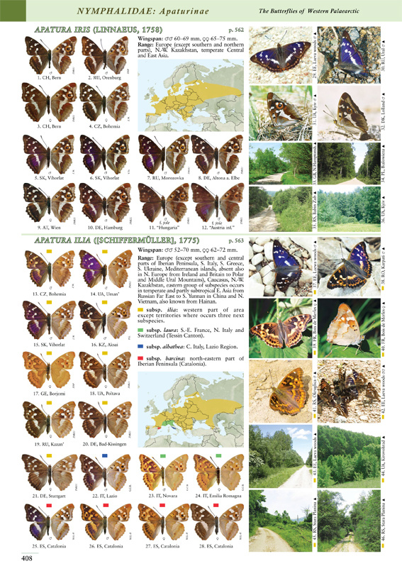 Butterflies of the Western Palaearctic - Volume 2 - Lycaenidae (Agrodiaetus), Riodinidae, Nymphalidae: Libytheinae, Danainae, Charaxinae, Apaturinae, Limenitidinae, Nymphalinae, Heliconiinae, Satyrinae