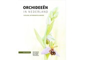 Orchideeën in Nederland