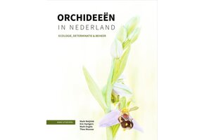Orchideeën in Nederland