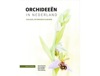 Orchideeën in Nederland