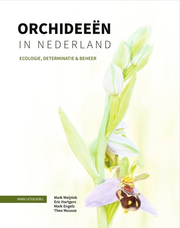 Orchideeën in Nederland - Ecologie, determinatie & beheer