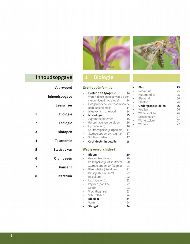 Orchideeën in Nederland - Ecologie, determinatie & beheer