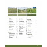 Orchideeën in Nederland - Ecologie, determinatie & beheer