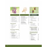 Orchideeën in Nederland - Ecologie, determinatie & beheer