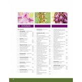Orchideeën in Nederland - Ecologie, determinatie & beheer