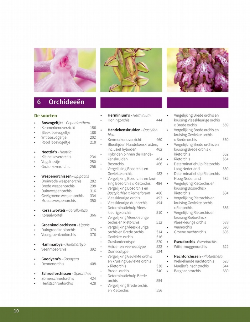 Orchideeën in Nederland - Ecologie, determinatie & beheer