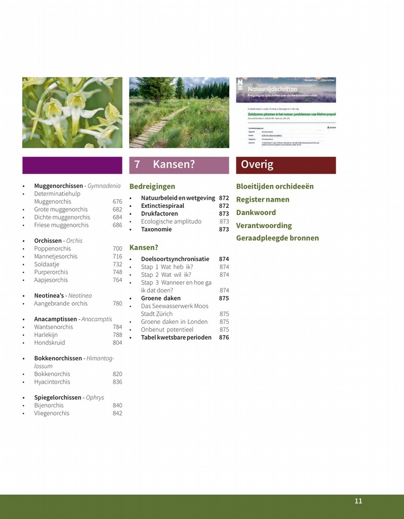 Orchideeën in Nederland - Ecologie, determinatie & beheer