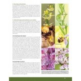 Orchideeën in Nederland - Ecologie, determinatie & beheer
