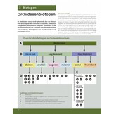 Orchideeën in Nederland - Ecologie, determinatie & beheer