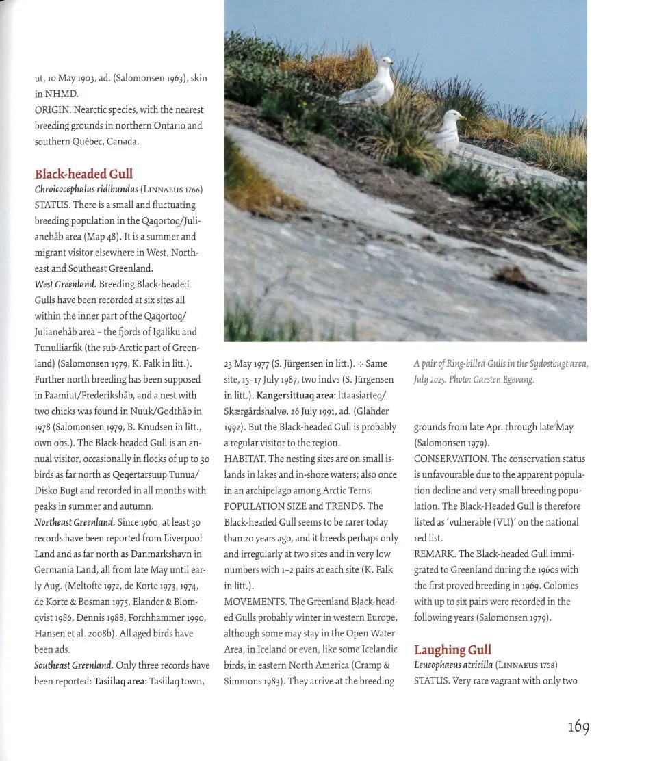 Birds of Greenland - An annotated and updated checklist