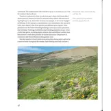 Birds of Greenland - An annotated and updated checklist