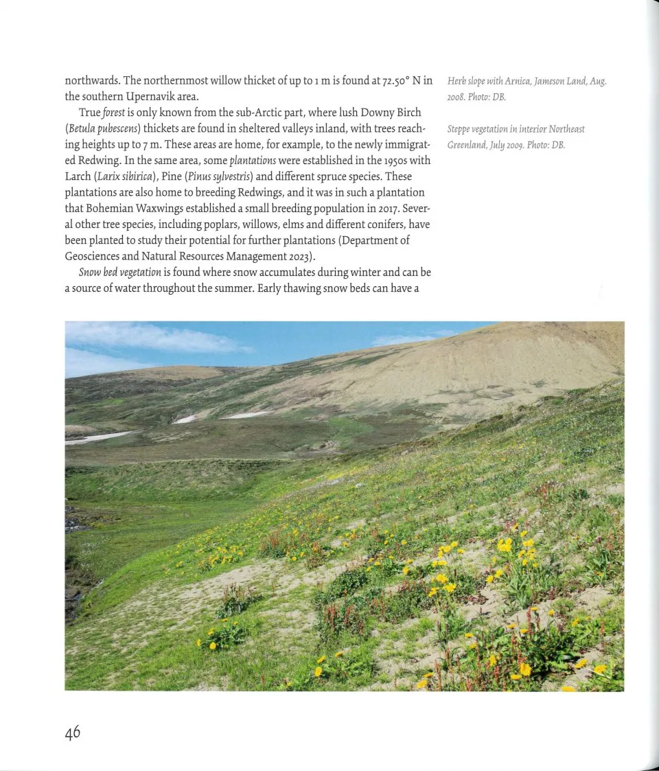 Birds of Greenland - An annotated and updated checklist