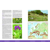 Die Orchideen Europas, Nordafrikas und Vorderasiens (5-Volume Set)