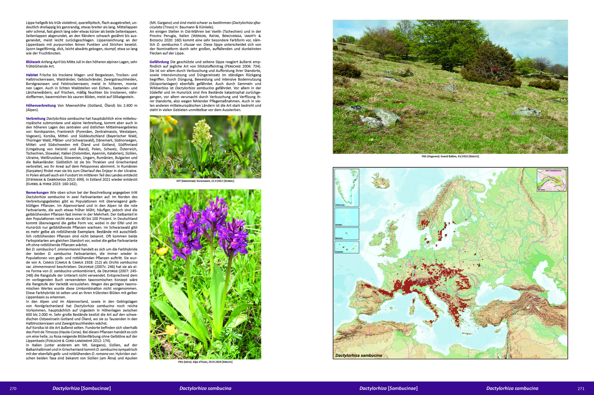 Die Orchideen Europas, Nordafrikas und Vorderasiens (5-Volume Set)