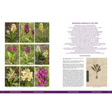 Die Orchideen Europas, Nordafrikas und Vorderasiens (5-Volume Set)
