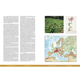 Die Orchideen Europas, Nordafrikas und Vorderasiens (5-Volume Set)