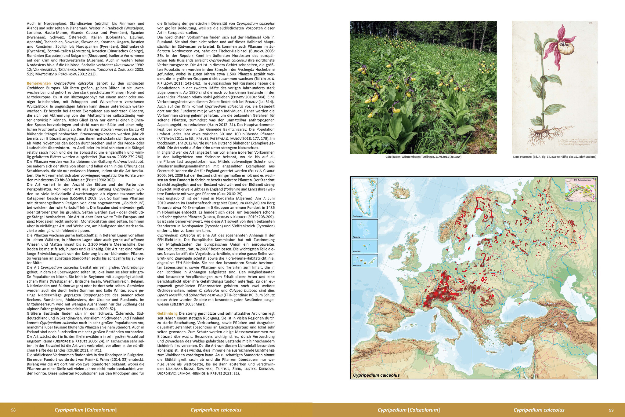 Die Orchideen Europas, Nordafrikas und Vorderasiens (5-Volume Set)